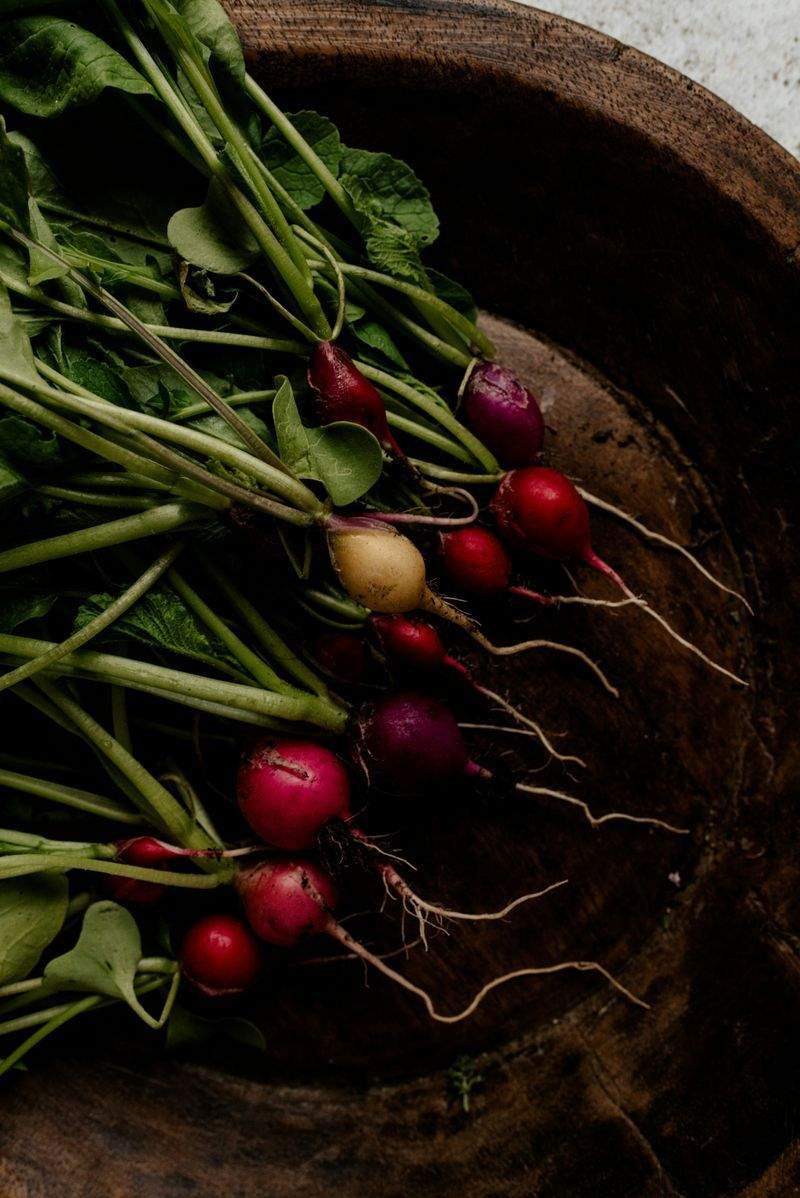 Préparer son jardin pour le printemps en toute sérénité