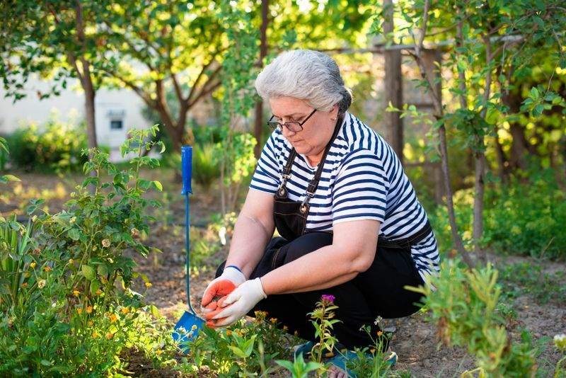 Ramassage des feuilles et évacuation des déchets verts